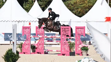Descendante de Le Coultre du Muze et d’une mère par Landor S, Maguy d’Écaussinnes, championne de France des sept ans au So’Pony avec Dylan Ringot, présente un pedigree exempt de sang poney.