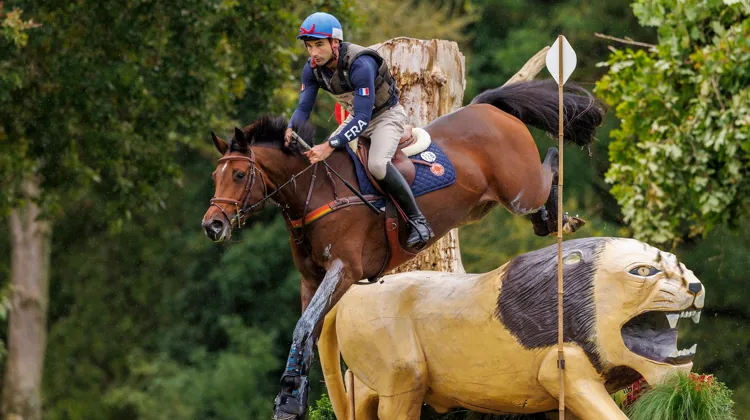 Troisième du Mondial du Lion à sept ans en 2023 avec le Tricolore Astier Nicolas, Gravure de la Mouline est le cheval issu du haras de la Mouline à avoir obtenu le meilleur indice de performance.