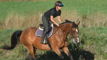 EFEA propose un parcours de formation structuré et professionnalisant, combinant le BPREA support équin et le Certificat de Spécialisation, pour préparer efficacement aux métiers de la filière équine.