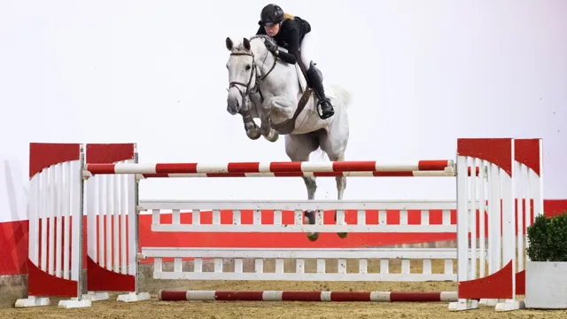 De negenjarige Perigueux’s Paula (Perigueux) werd voor 60.000 verkocht naar Armenië