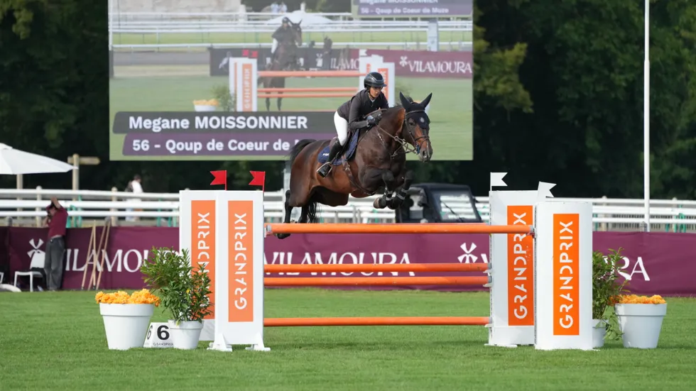 Qoup de Coeur de Muze wint Grote Prijs van Cluny