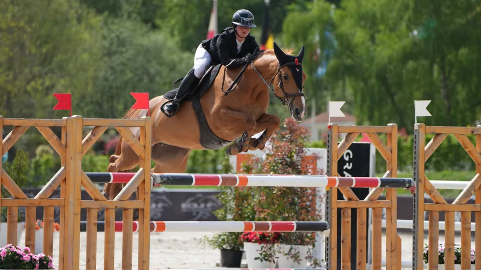 Tweede dag, tweede zege: Guillaume en Altesse v’t Hof van Eversem Z domineren