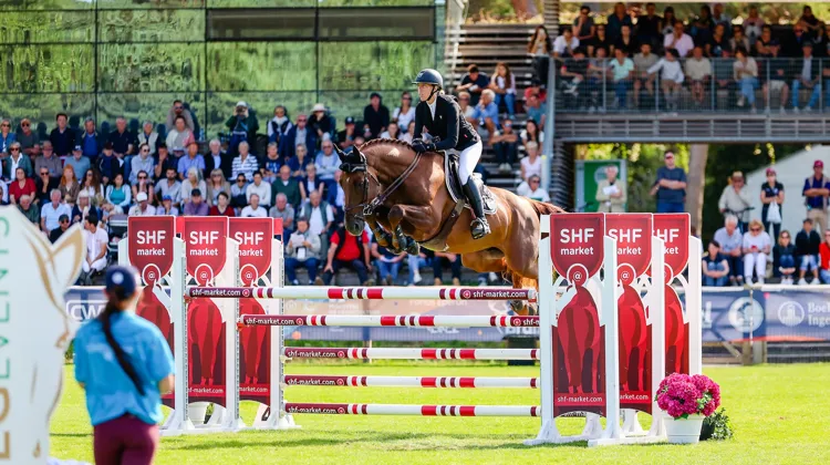 Issu du même élevage que les renommés Vénard et Uno de Cerisy, Joe de Cerisy s’est fait remarquer à la Grande Semaine en terminant troisième du championnat réservé aux entiers de six ans avec Déborah Lefebvre.