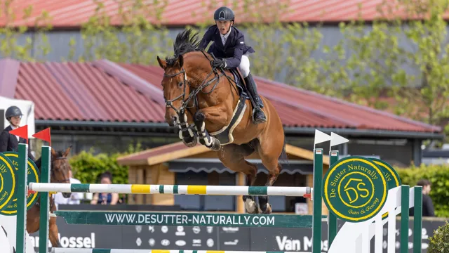 Perfecte nulronde bezorgt Lars Verschueren de 1m40 Junioren GP-zege in Lier