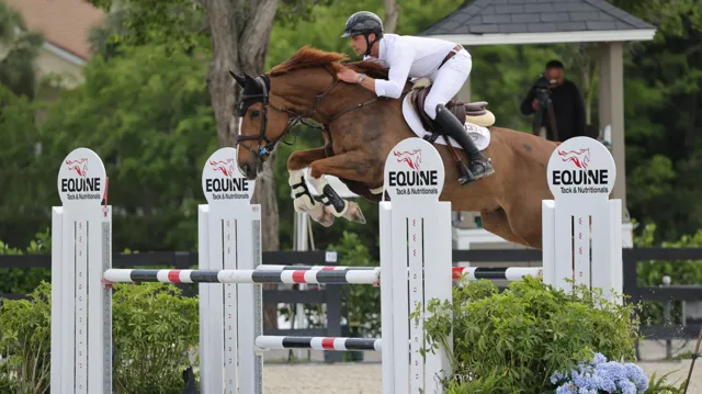 Louis Le Grelle won eerder dit jaar in Wellington met New Life van het Hellehof