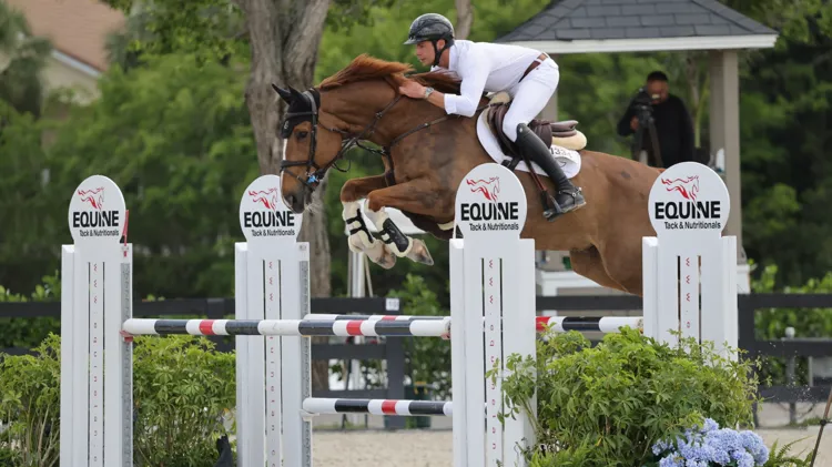 Louis Le Grelle won eerder dit jaar in Wellington met New Life van het Hellehof