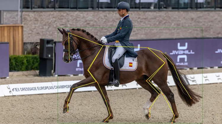 Identification automatique, par le logiciel d’IA de l’IFCE et de l’École française d’électronique et d’informatique, des principaux segments anatomiques d’un cheval sur une image. De tels outils faciliteront la caractérisation des animaux, utile à la recherche, à la sélection et aux éleveurs pour leurs croisements.