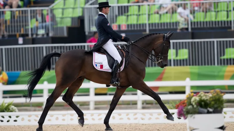 Mathieu Lemoine et Bart L ont déroulé une superbe reprise de dressage cet après-midi à Rio.
