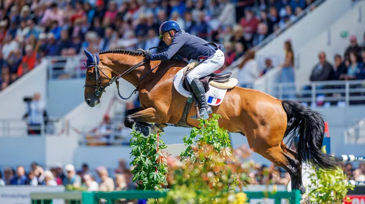 Olivier Robert et Iglesias DV lors de la Coupe des nations de La Baule, en 2024. 