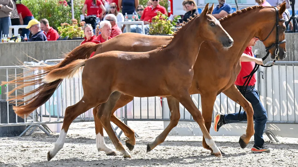 Duuk van den Bosdam kroonde zich tot kampioen