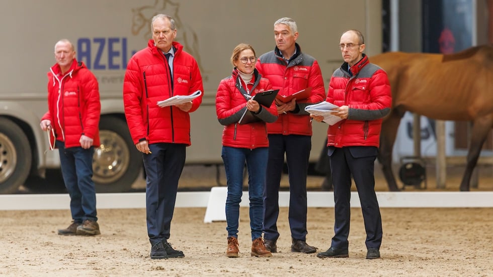 BWP hengstenkeuring gaat vandaag van start