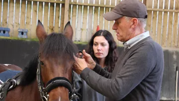 Au CFPPA de Kernilien, près de Guingamp, le CS Éducation et travail des Jeunes Équidés propose une formation en alternance, alliant apprentissages au centre et immersion en entreprise, pour se professionnaliser dans le travail des jeunes chevaux.
