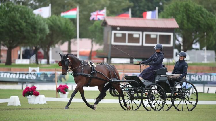 Oh La La La SH menée par Marion Vignaud au Championnat du Monde d'Attelage des Jeunes Chevaux à Lamotte-Beuvron