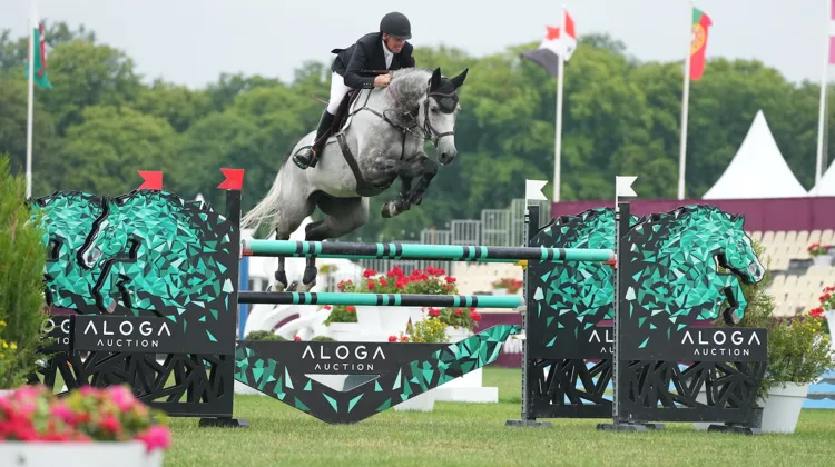 Ici lors du CSI 4* de Chantilly Classic, Shane Breen et BP Arctic Blue ont signé le seul et unique double sans faute du Grand Prix 4* d'Abou Dabi.