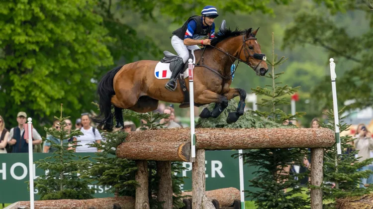 Le week-end dernier, Benjamin Massié a terminé neuvième du mythique CCI 5*-L de Badminton, en Angleterre.