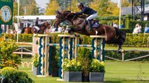 Wilm Vermeir en Top Invest 313 Z