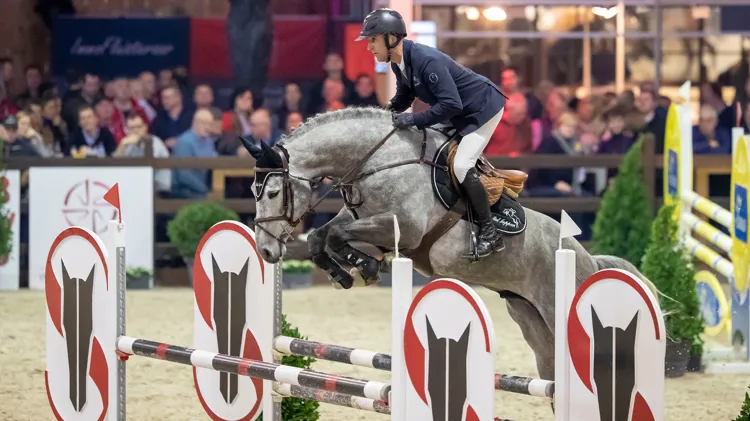 Pallieter vd N. Ranch als jong paard met Loewie Joppen