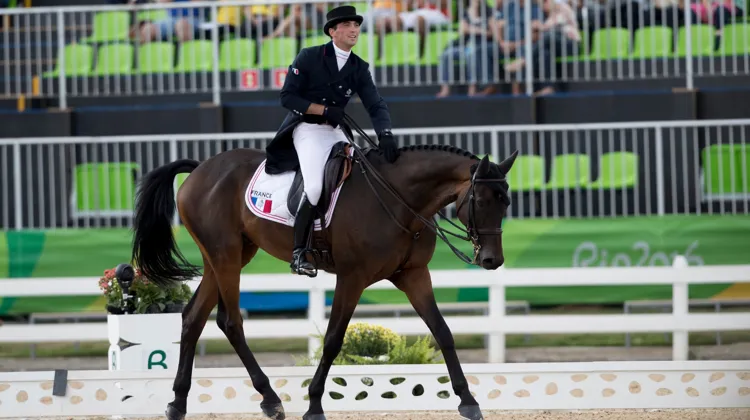 Mathieu Lemoine et Bart L ont déroulé une superbe reprise de dressage cet après-midi à Rio.
