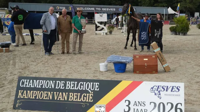 Ramsès I Waloppe schrijft Belgisch kampioenschap bij driejarigen op zijn naam
