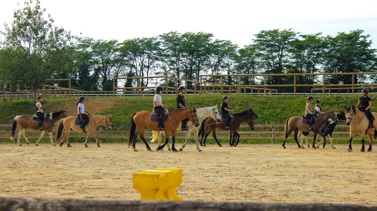 En Auvergne Rhône-Alpes, le Poney Club UCPA Carré de Soie est l'une de ces structures qui ne constatent pour l'instant pas de retombées liées aux JO.