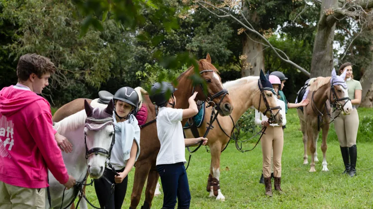 Séjour linguistique en camps d’équitation