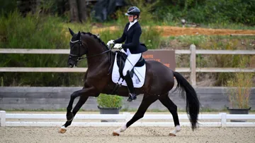 Descendant direct de Queenparks Wendy*de Fontaine, partenaire de proue de l’Allemande Isabell Werth, Samson de Fontaine semble bien parti pour marcher dans les pas de sa mère.