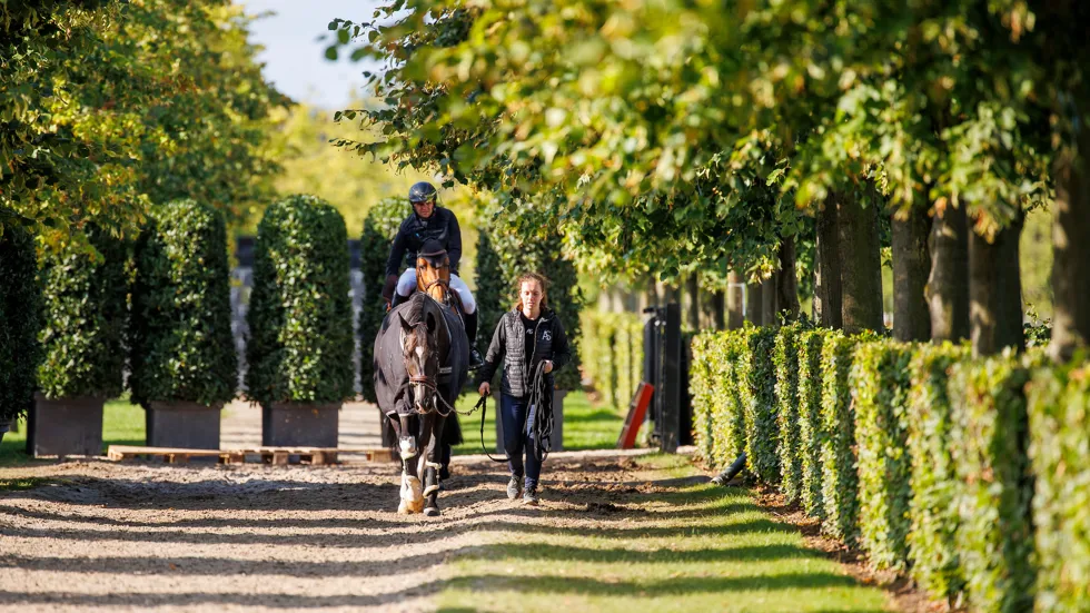 Aftellen naar een nieuwe internationale week