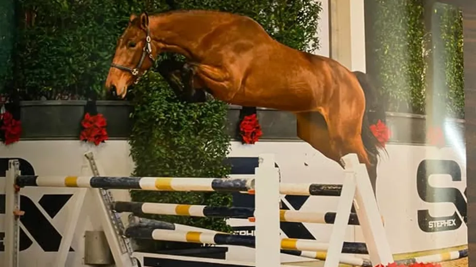 Oefen vrijspringen op 7 februari