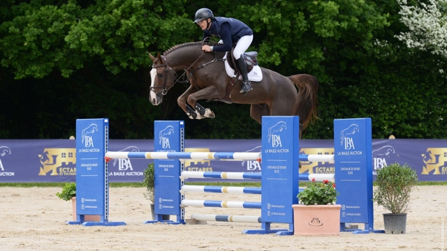 Veilingtopper Paco BVM Z