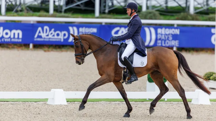 Thomas Carlile et Golden de Béliard au Mondial du Lion en 2023.