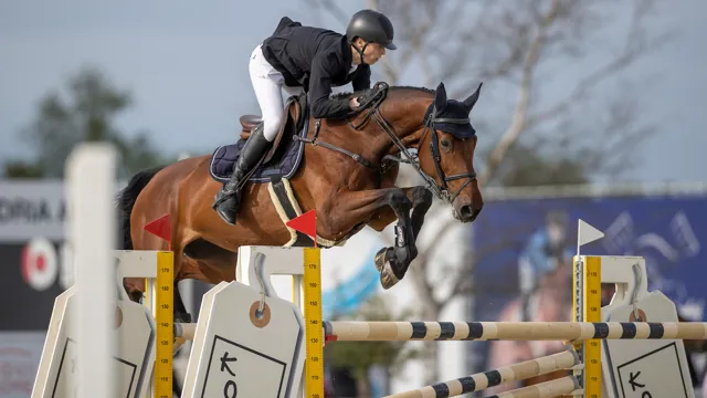 Cis Van Hoydonck opent concours met Belgische overwinning