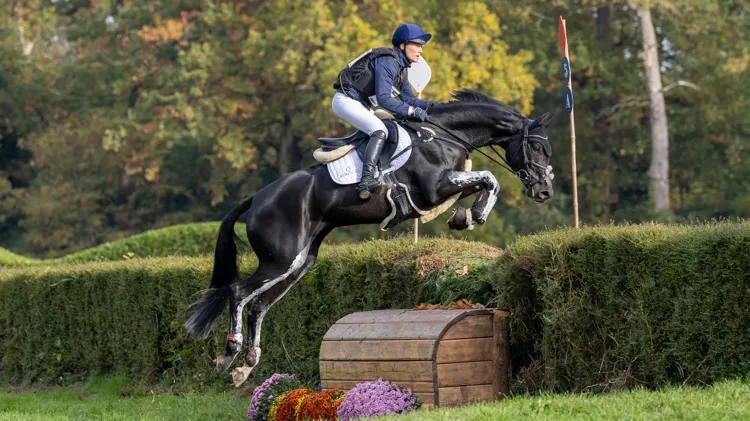 Van wereldtitel naar Belgische titel: Tara van het Leliehof blijft imponeren