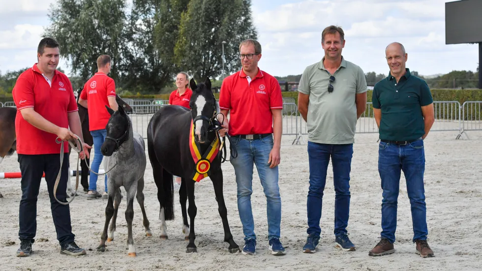 Holly won de reeks kleine maat