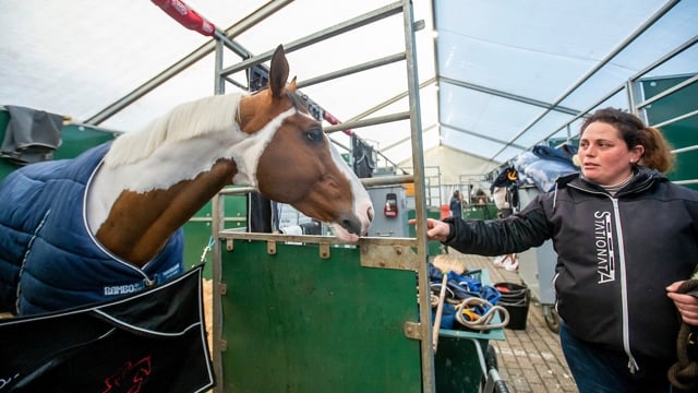 Een drukke internationale week voor onze landgenoten