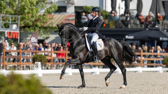 Justin Verboomen