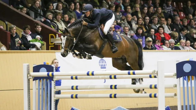 Balou du Rouet laat een indrukwekkende erfenis na in de springsport