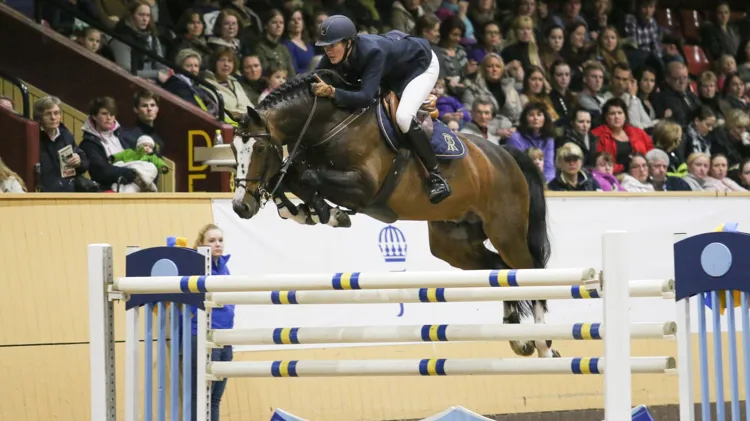 Balou du Rouet laat een indrukwekkende erfenis na in de springsport