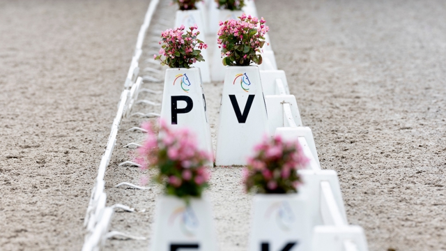 Springruiters ruilen hun springzadel in voor een dressuurzadel