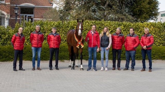 Ultra Star JM werd uitgeroepen tot kampioen van de BWP Hengstenkeuring