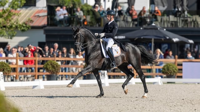 Justin Verboomen en Zonik Plus