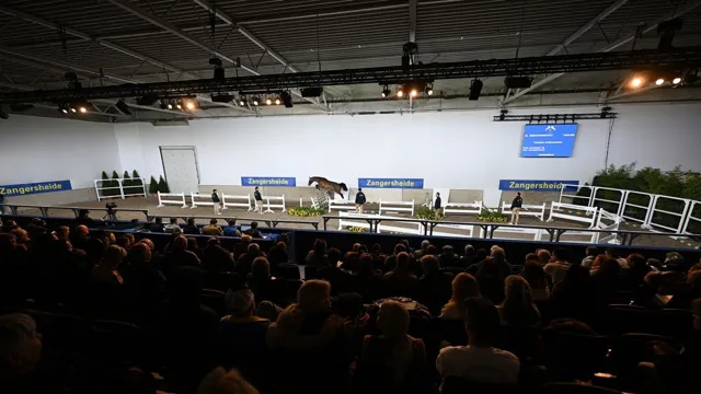 65 hengsten door naar de 2de bezichtiging van de Zangersheide hengstenkeuring