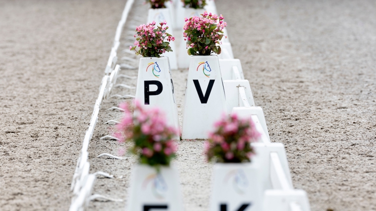 Aftellen naar de eerste editie van het Dressuurfestival in Dilbeek