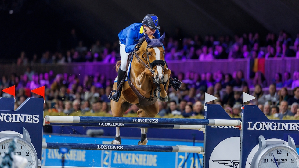 Christian Ahlmann en Mandato van de Neerheide