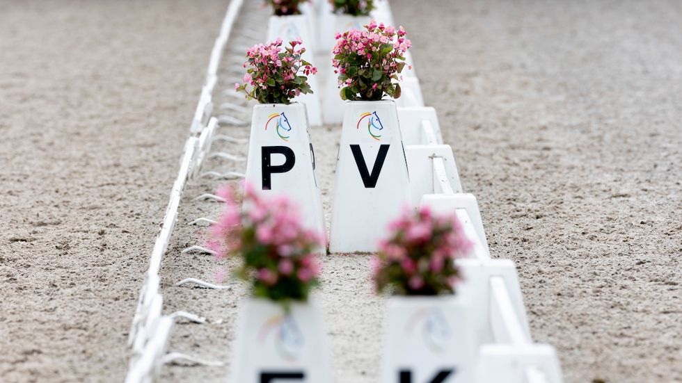 Springruiters ruilen hun springzadel in voor een dressuurzadel