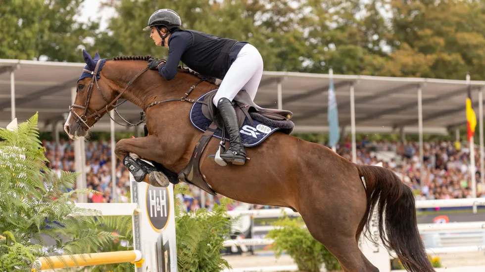 Winst in het hoofdnummer met Sniper des Lilas Blancs