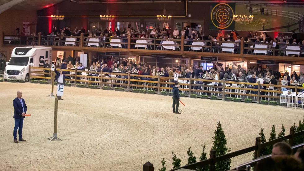 Aftellen naar de BWP New Life Auction