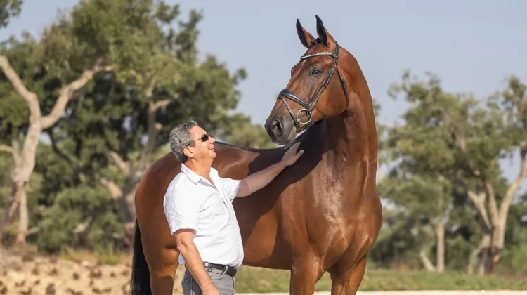 Passionné de chevaux ibériques, Olivier Arnal a quitté le Larzac pour s’installer au Portugal il y a plusieurs années.