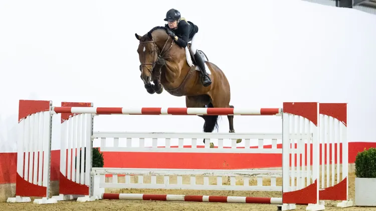 Qatar van de Achterhoek 