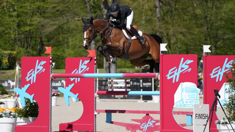 BWP-merrie Quick Diamant HR bevestigt klasse met zege in Compiègne