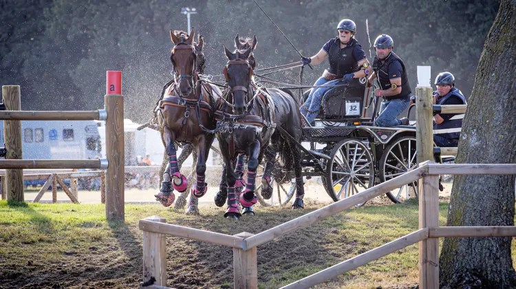 Marchant dans les pas de son illustre père Christoph, Anna Sandmann a participé aux championnats d’Europe à ses côtés, cet été.